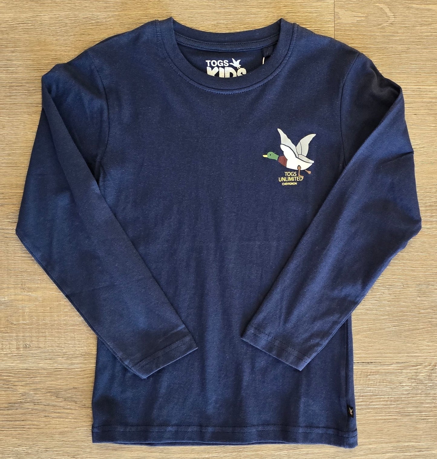 Tee-shirt garçon brodé manches longues – 100% coton ref 3837 ALL FOR KIDS