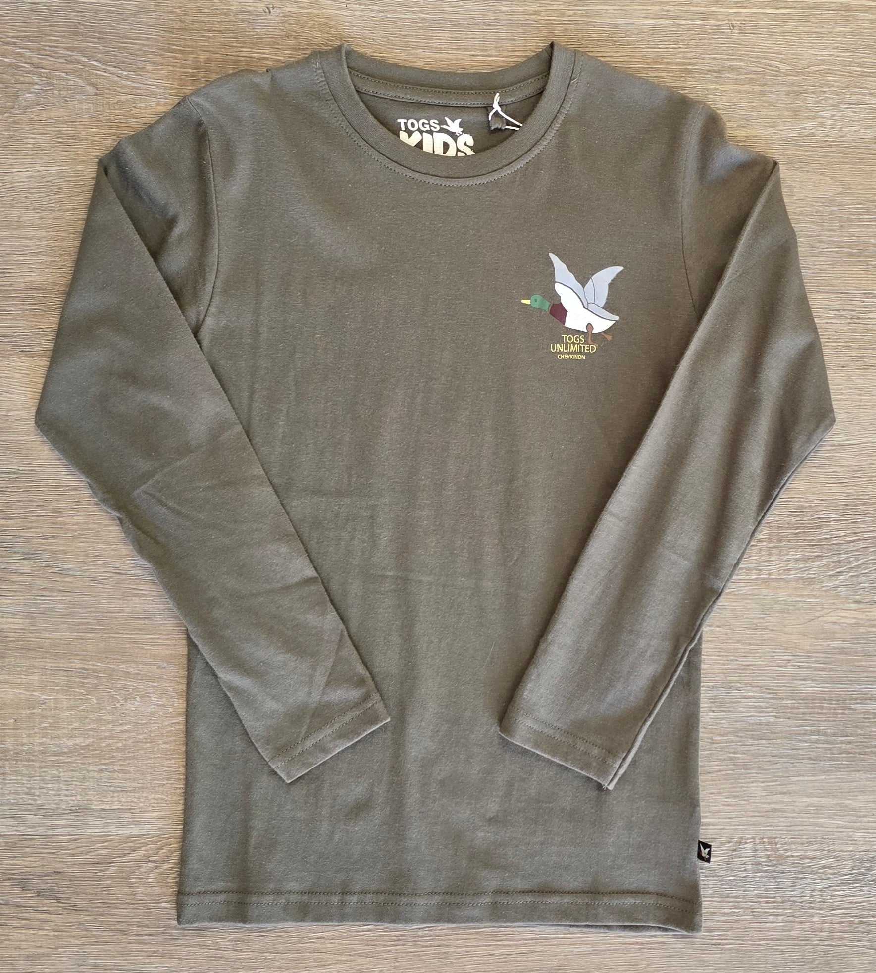 Tee-shirt garçon brodé manches longues – 100% coton ref 3837 ALL FOR KIDS