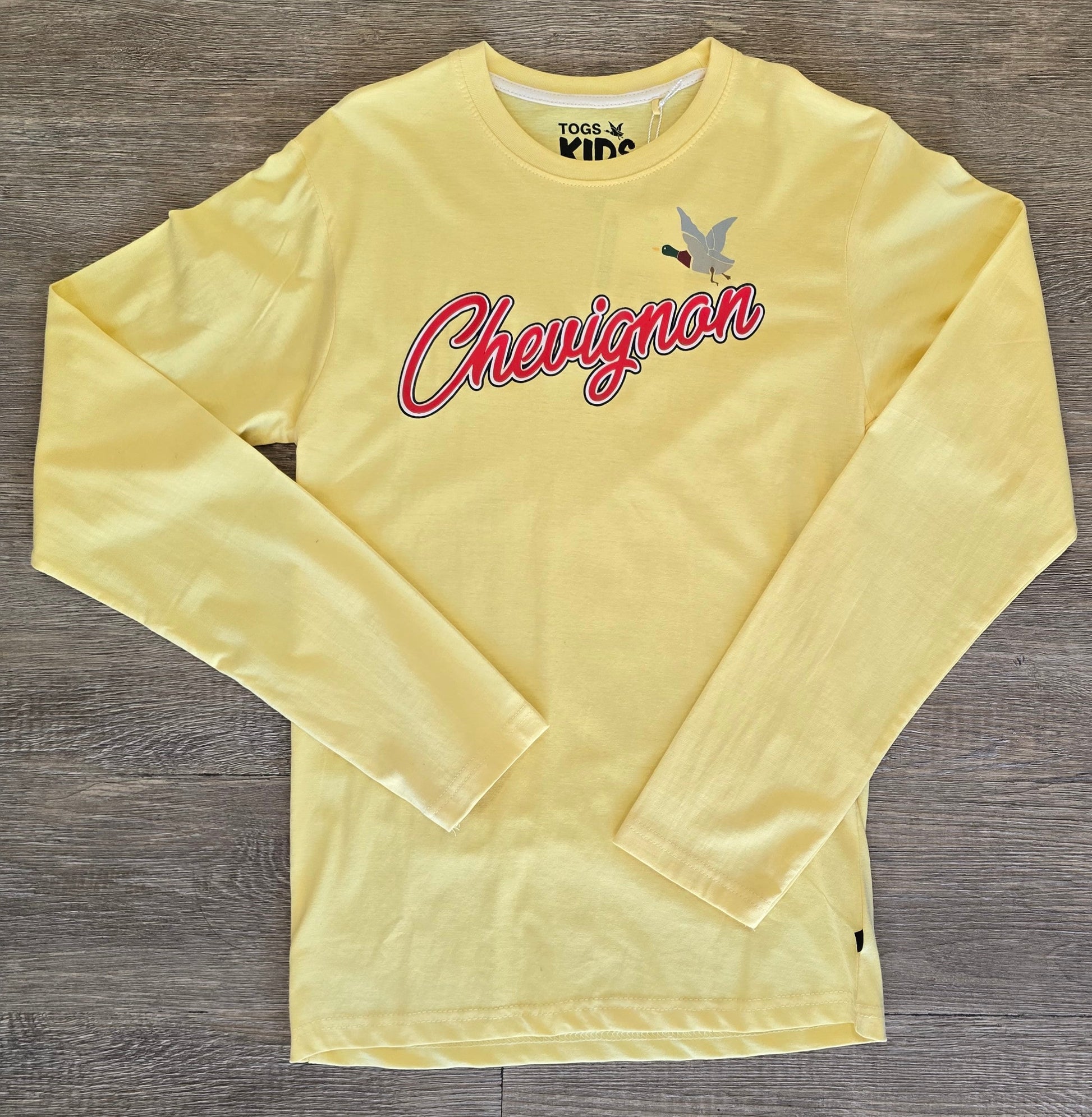Tee-shirt garçon brodé manches longues – 100% coton ref 011 ALL FOR KIDS