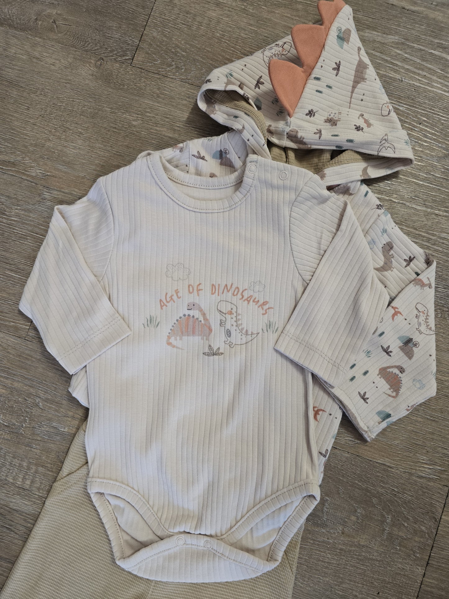 Ensemble bébé garçon dinosaure 3 pièces taille de 6 à 12 mois ref 3006 ALL FOR KIDS