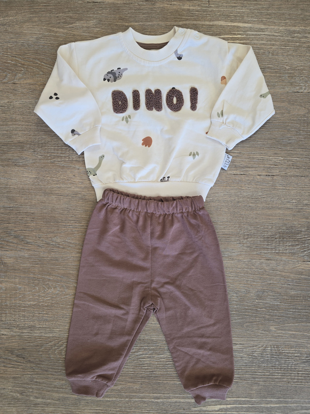 Ensemble jogging bébé garçon dinosaure 100 % coton – vue produit