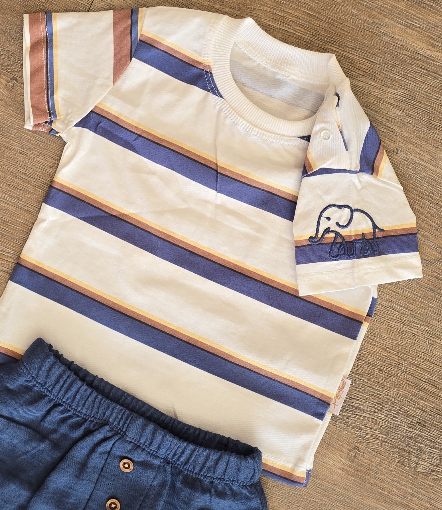 Ensemble bébé garçon tee-shirt et short taille de 6 de 24 mois 100% coton ref 5825 ALL FOR KIDS