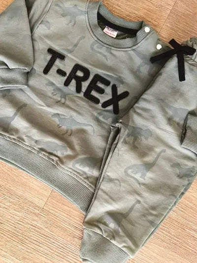 Sweat T-Rex bébé garçon vert en coton All for Kids